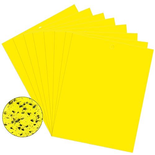 Jinlaili 20PCS Yellow Sticky Fly Traps 20x15cm, Fly Paper Stickers, Dual-Sided Sticky Traps, Plant Fly Catchers, Catcher Sticky Board for Flying